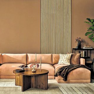 Pantone Color of the year 2025- Vineeta’s Inputs